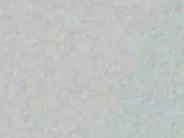 angielee01