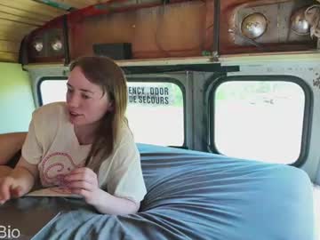 busbuddies