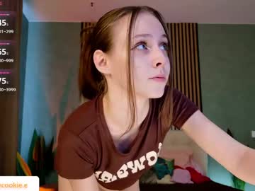 fixielu