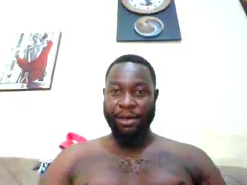 beardy3131