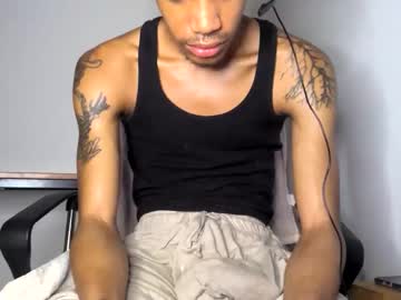 blackbulltitus