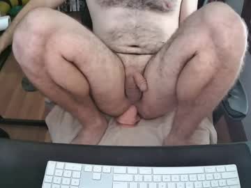 bostonbidude31861