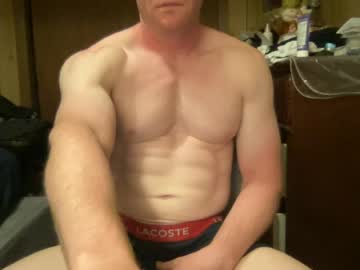 gingernospice