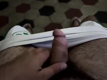 puccciaccios