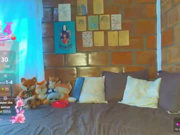 sky_fox_1