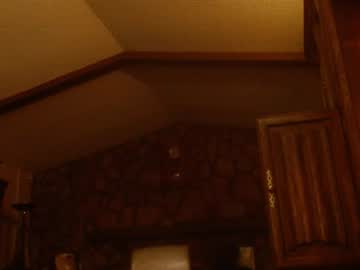 trippadippado