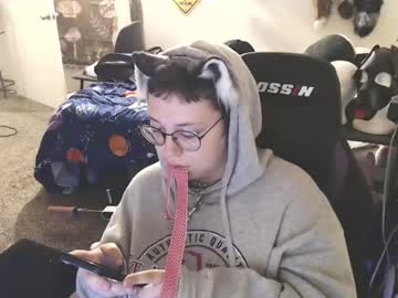 _bandit_b0y