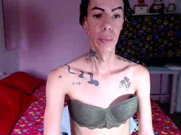 flacats23cm