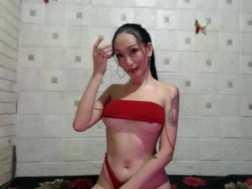 kittykatarena