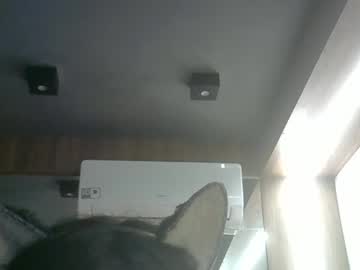 skinnykittencam